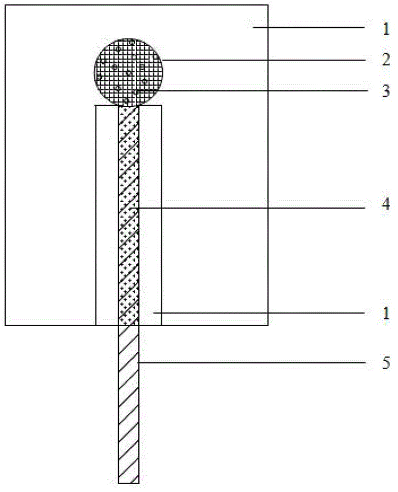 A kind of preparation method of biocathode based on silicon rubber