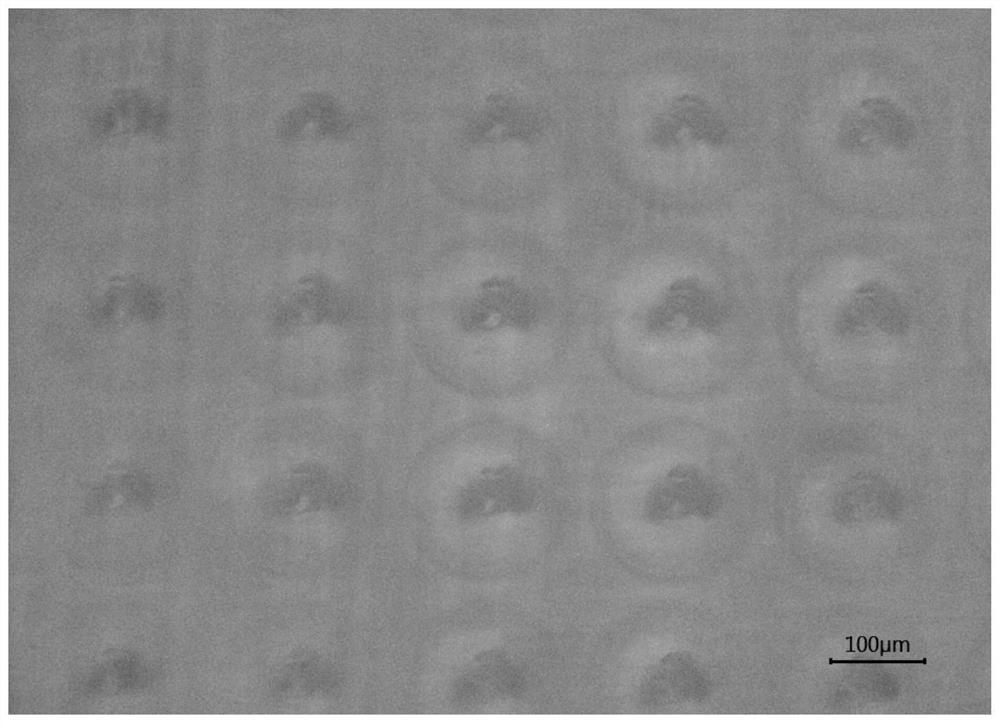 Femtosecond laser direct writing PBS quantum dot-doped glass with wide-spectrum fluorescence characteristics and preparation method thereof