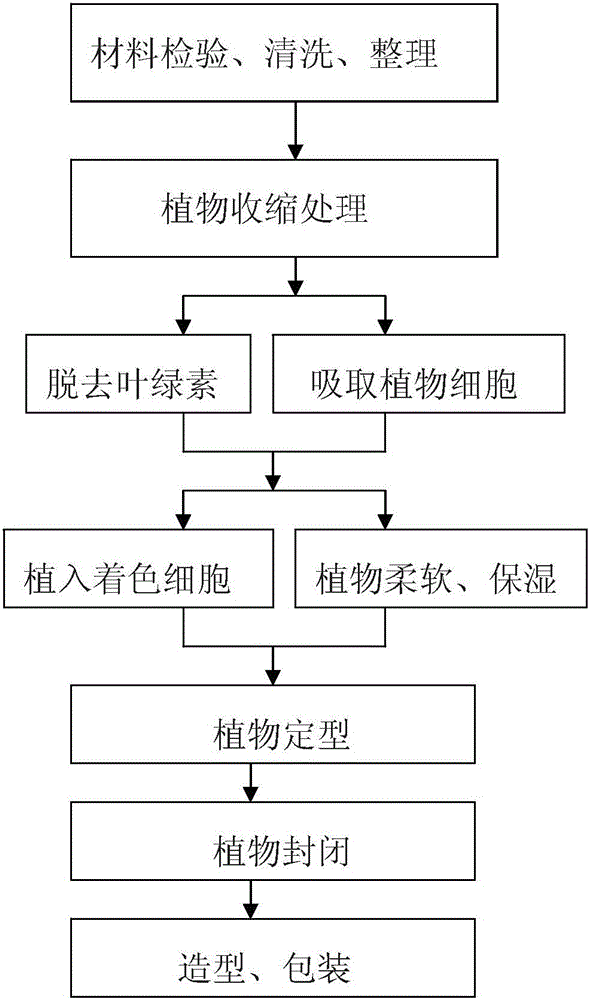 Preservation method for fresh-cut plants and fresh plants prepared by adopting preservation method