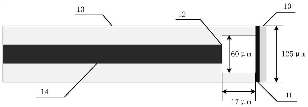 A partial discharge sensor combining a graphene membrane and a micro-fiber interference cavity and a detection method based on it