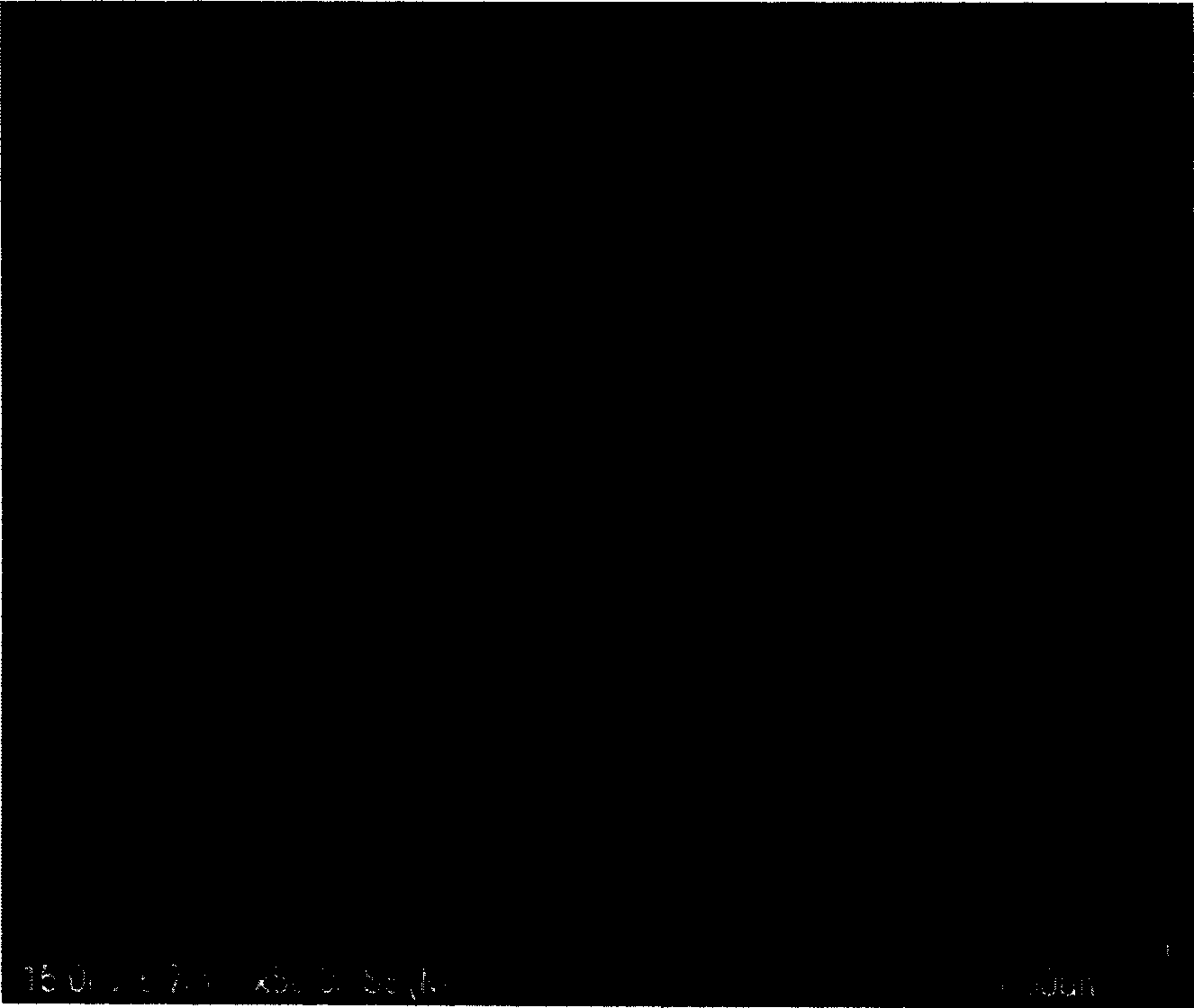 Polypyrrole electrolytic synthesis method