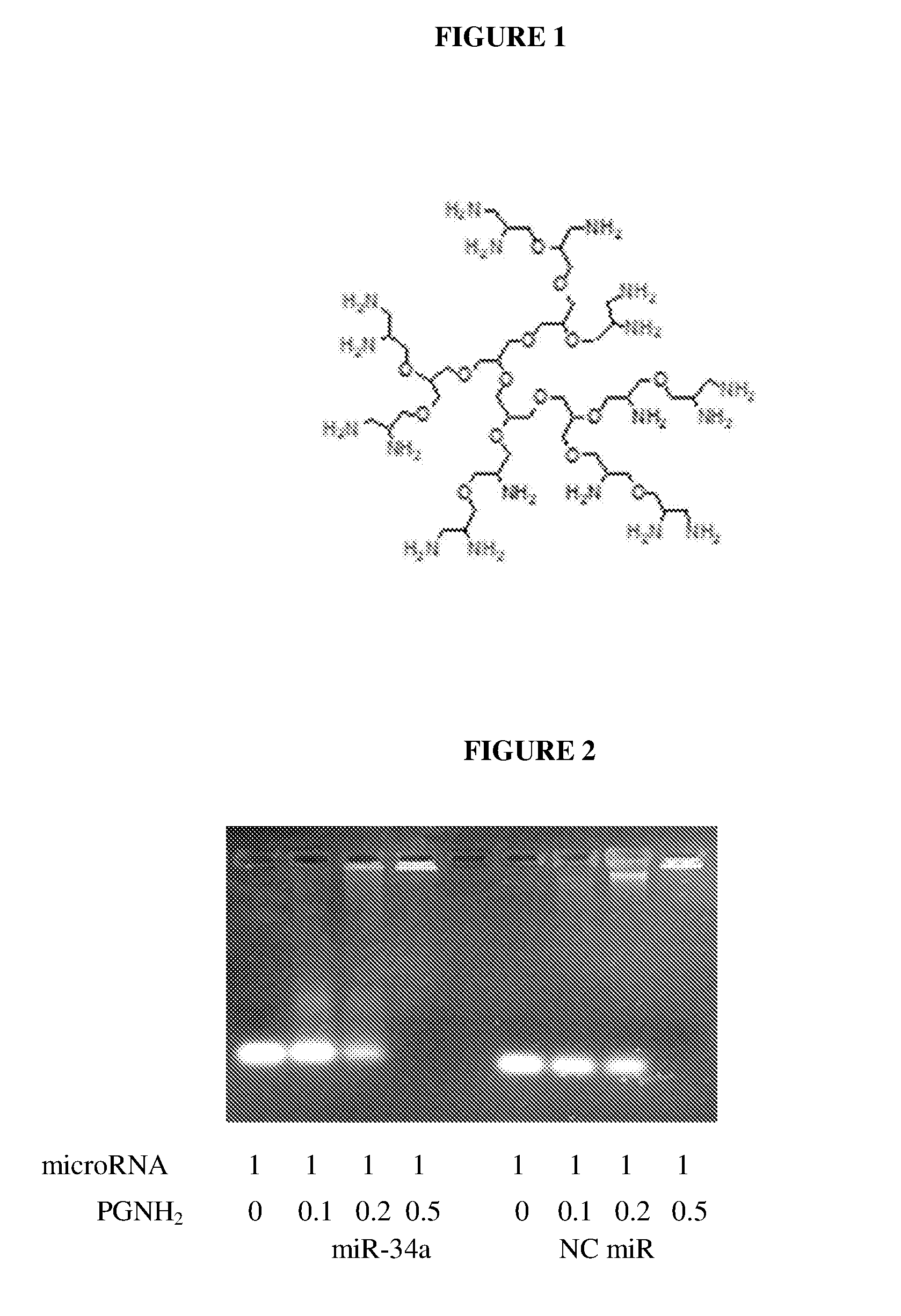 Nanocarrier system for micrornas and uses thereof