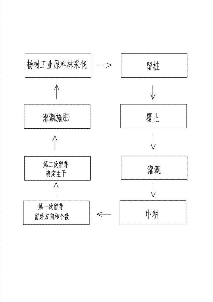 Stump reserving bud afforestation method for cutting poplar industry raw material forest