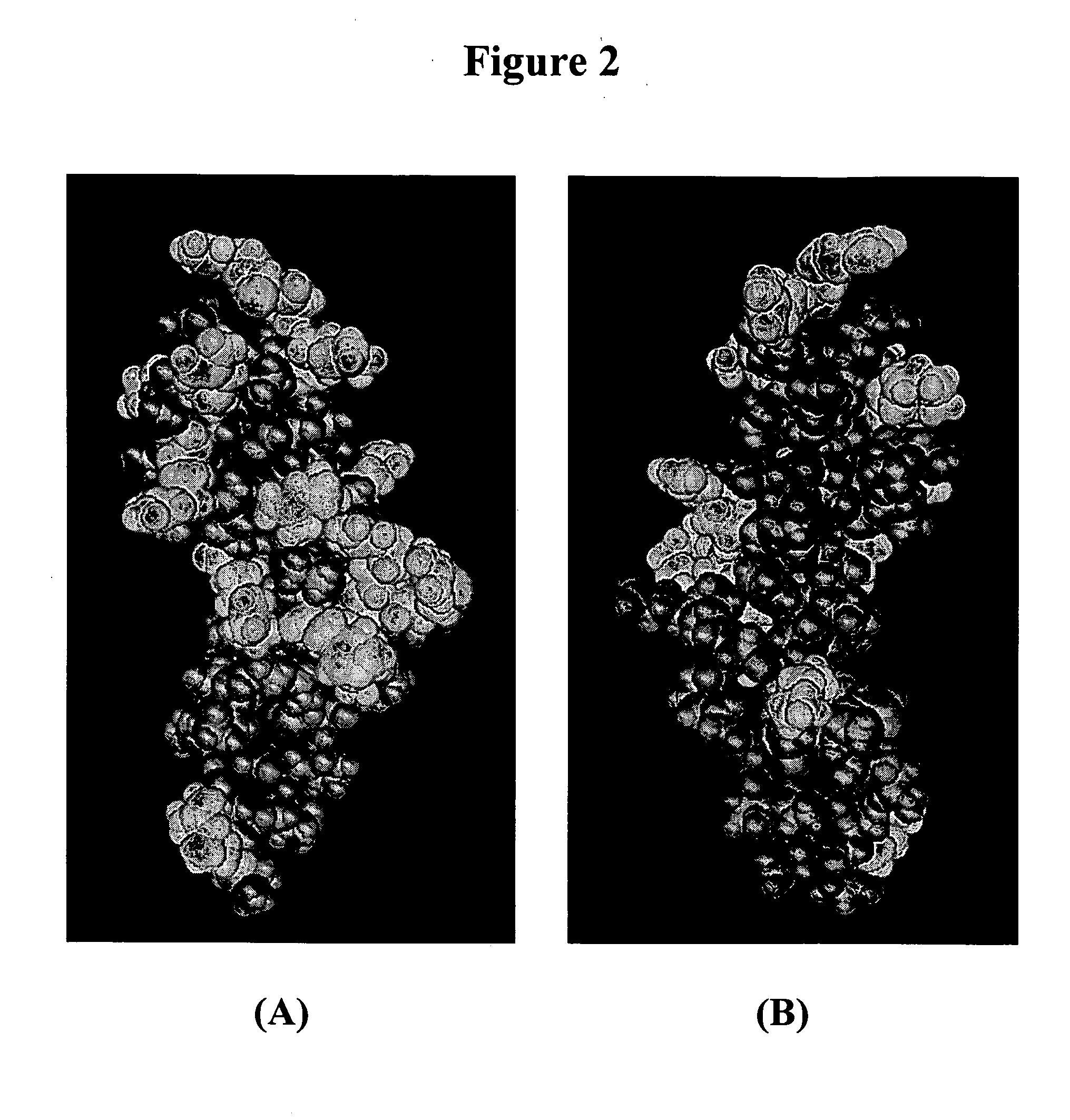 VEGF variants