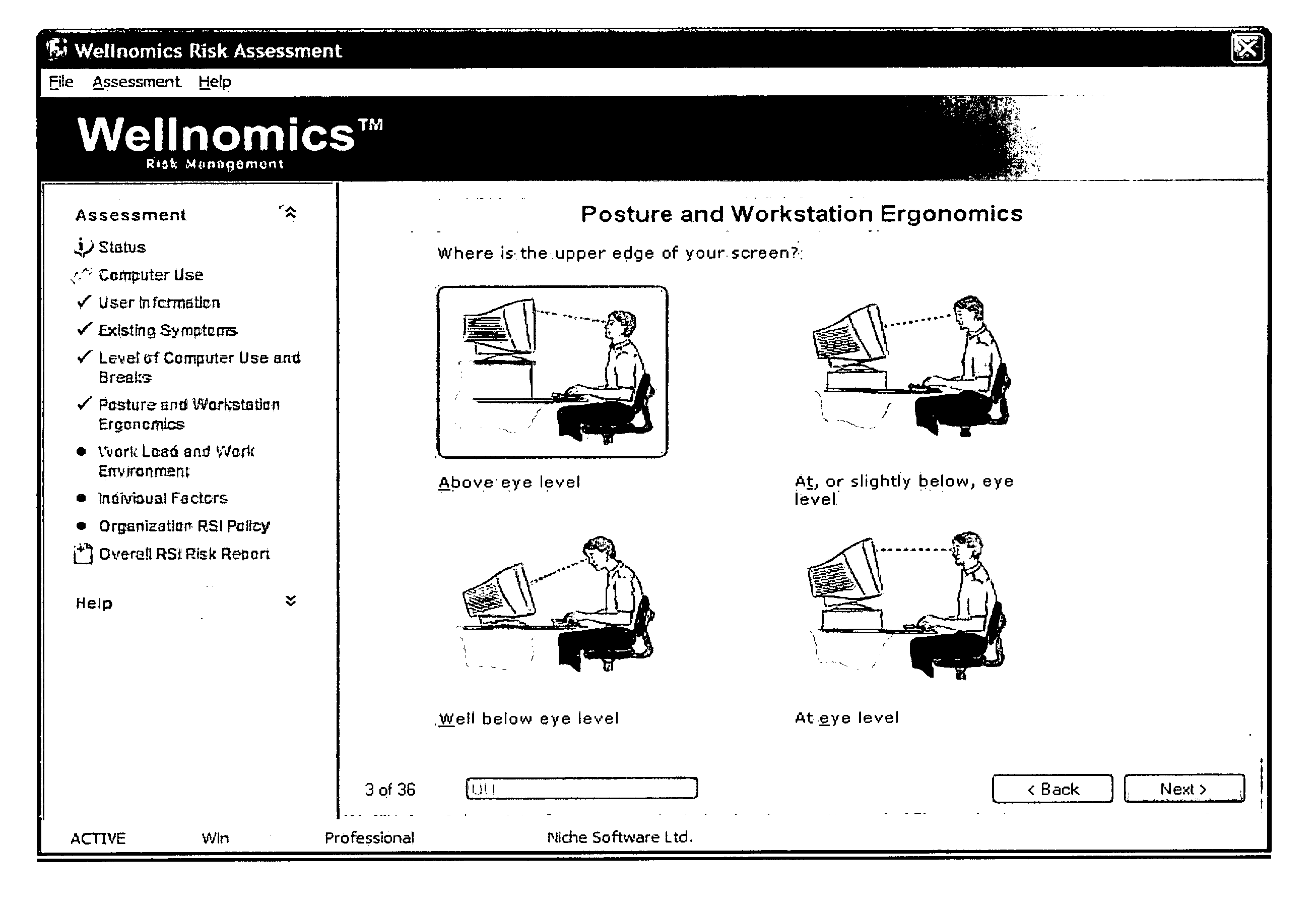 Injury risk assessment data capture system and method