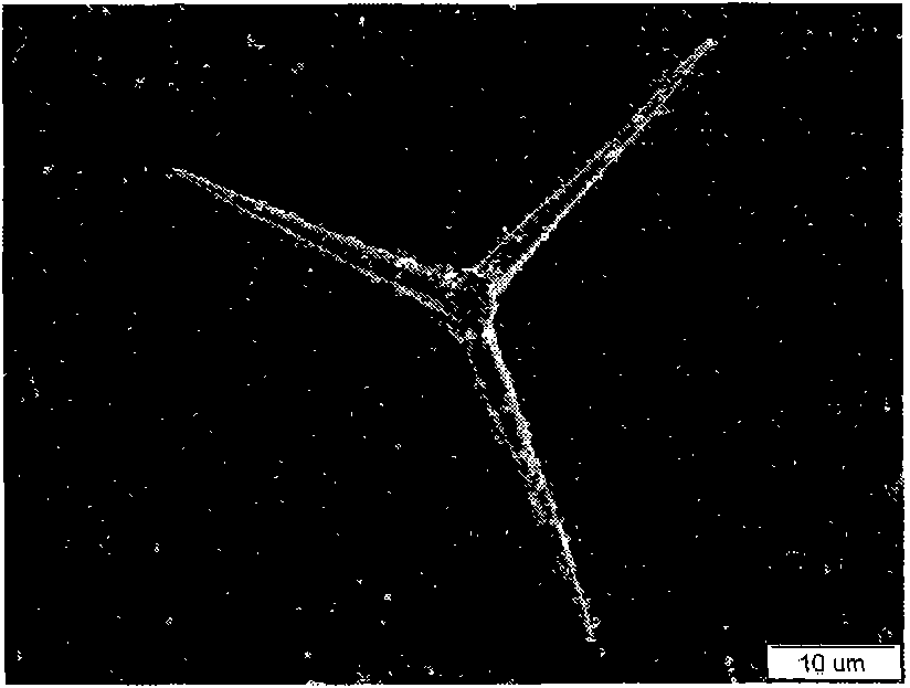 Tetrapod-like zinc oxide/ferrite film material and preparation method thereof