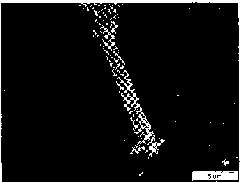 Tetrapod-like zinc oxide/ferrite film material and preparation method thereof