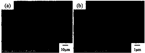 Cellulose nano-fibril/epoxy resin composite film preparation method