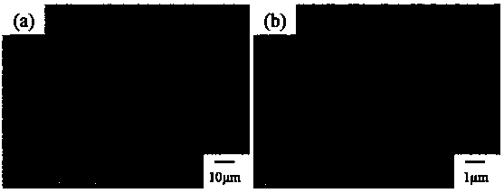 Cellulose nano-fibril/epoxy resin composite film preparation method