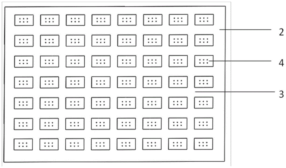 Defensive Trichogramma bee card and preparation method thereof