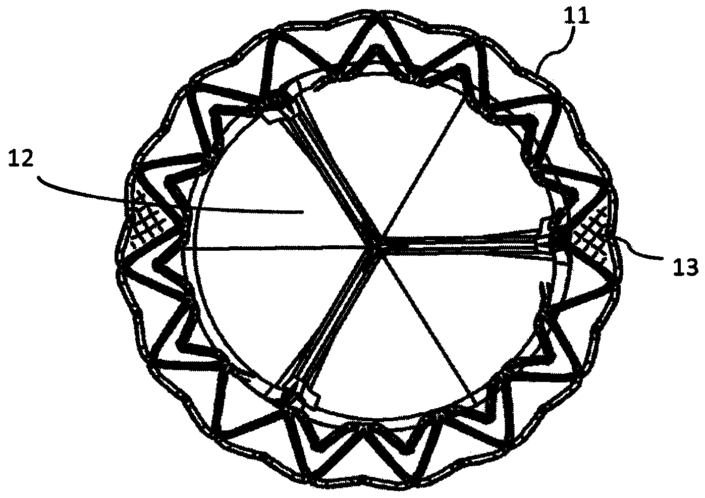 Novel cardiac valve implantation instrument with anchoring device