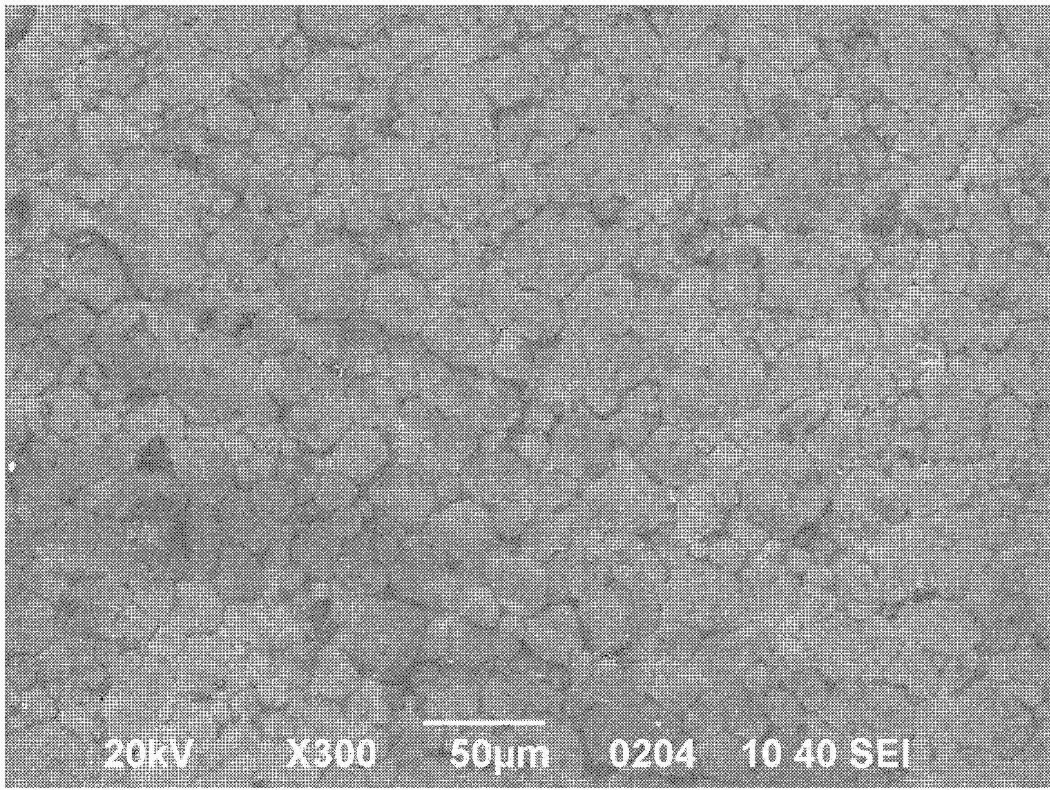 Modified lithium titanate material used for lithium ion battery and manufacturing method thereof