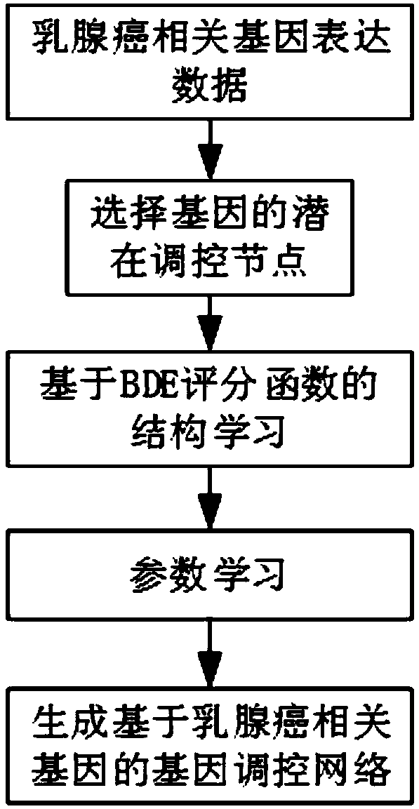 Regulatory network construction and analysis method based on breast cancer diseases