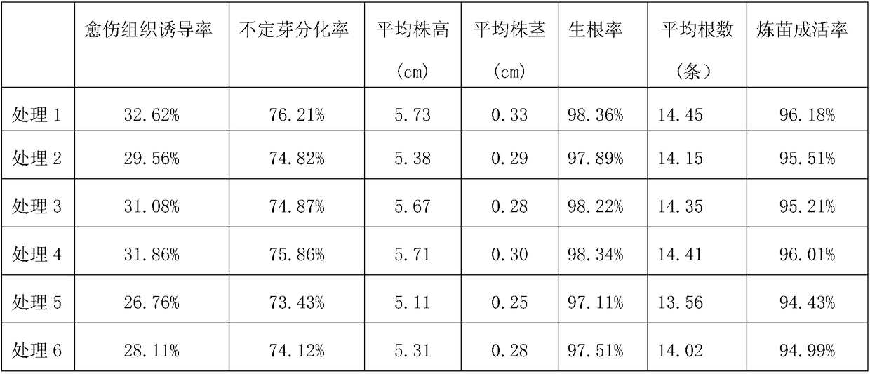 Cultivation method of chili disease-resistant homozygote