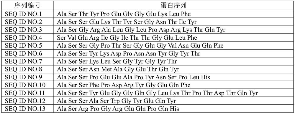 Peripheral blood TCR marker for cervical cancer as well as detection kit and application of peripheral blood TCR marker