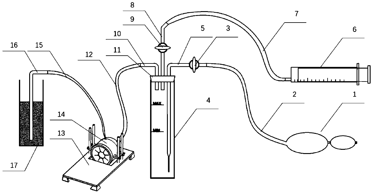 Dose-adjustable inhalation continuous anesthesia device for small and medium-sized animals