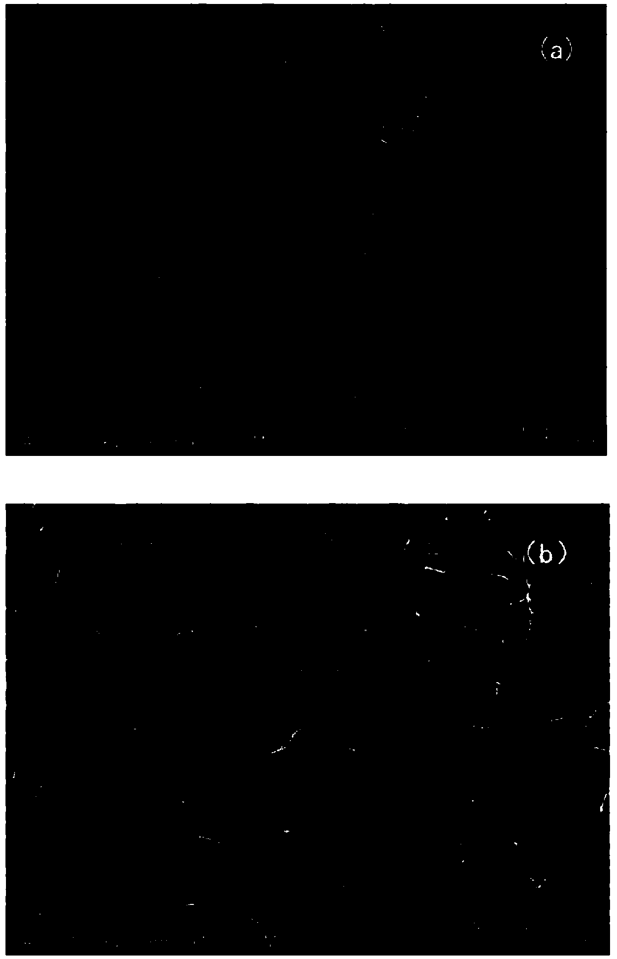 Synthesis method of water-soluble triene cross-linking agent and high-temperature resistant water-absorbing resin