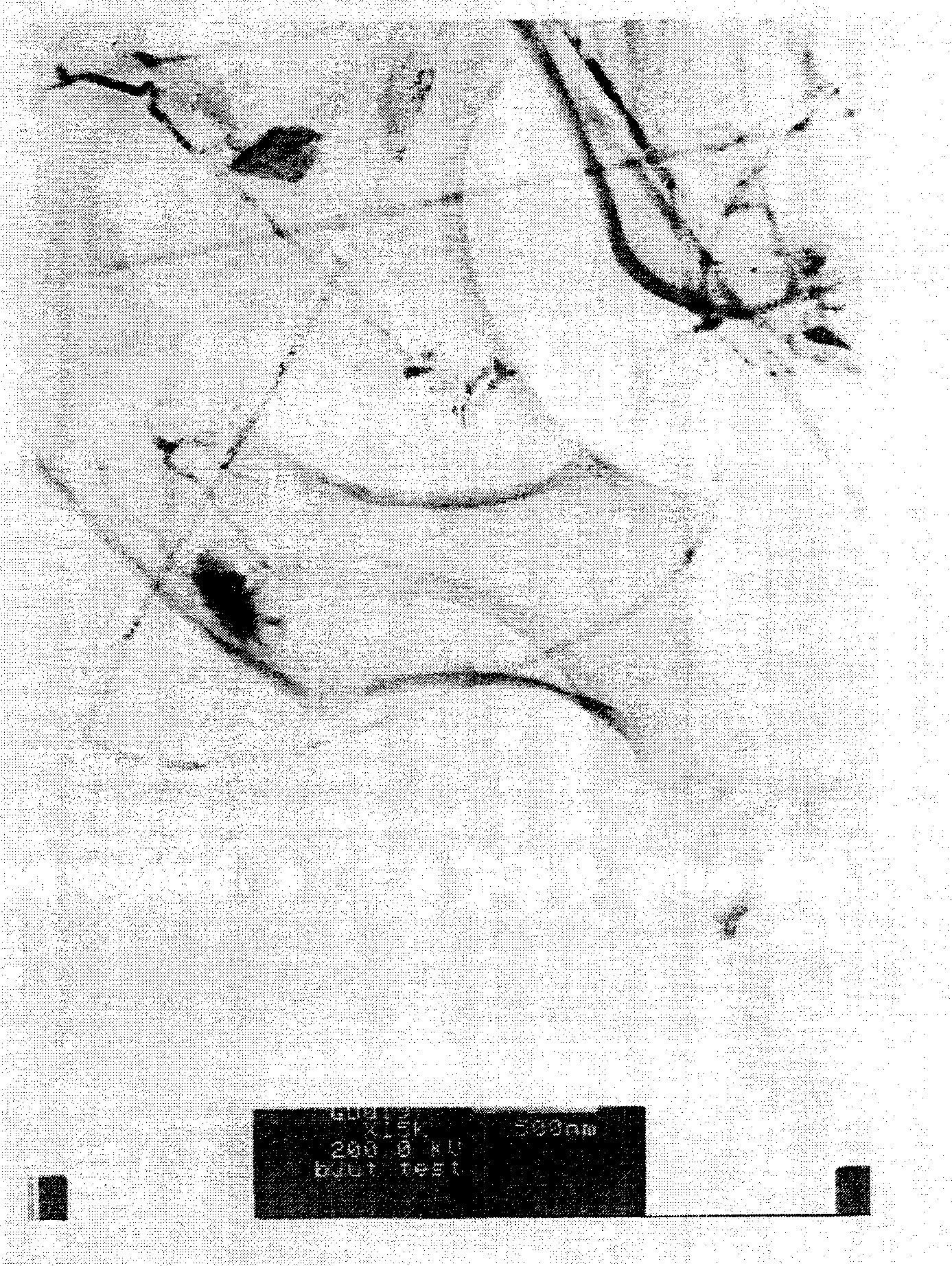 Single-nano-thread in-situ mechanical characteristic detection and structure analysis method and apparatus