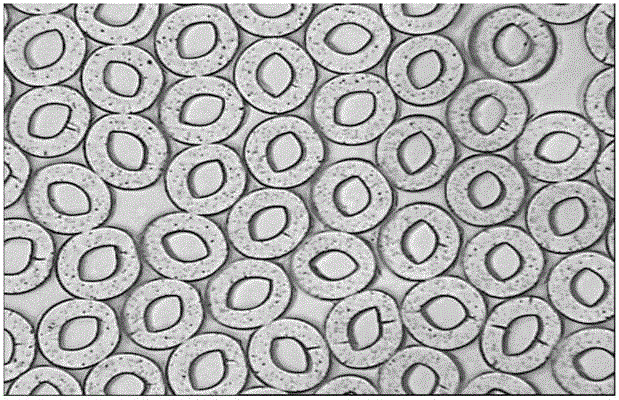 Preparation method of HOY spring wire