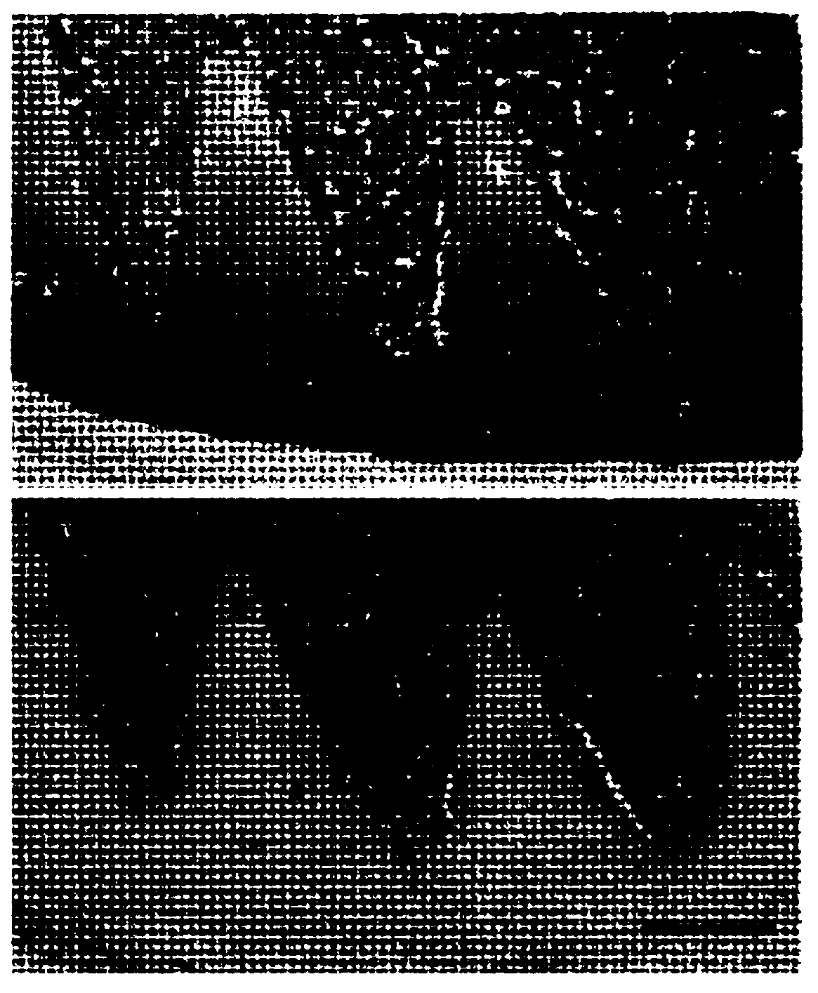 Cartilage graft scaffolds