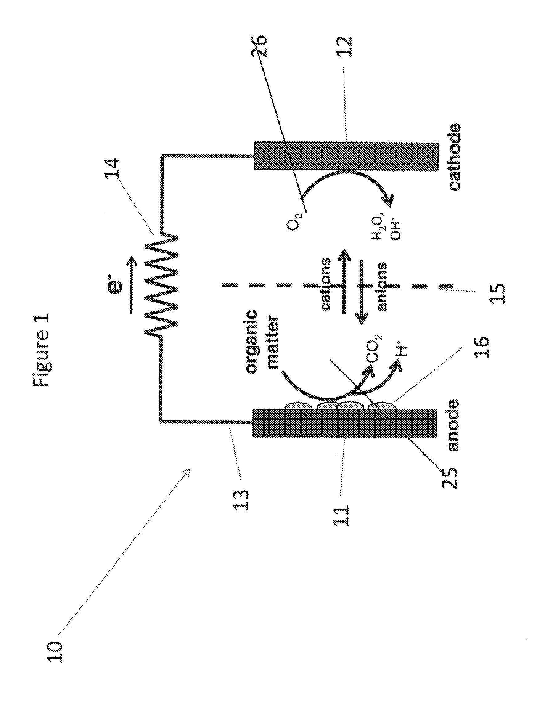 High efficiency microbial fuel cell