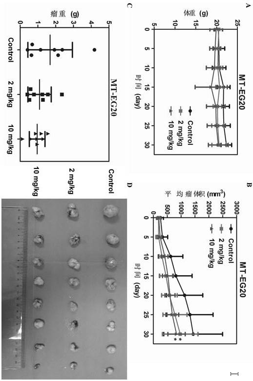 Application of tegaserod maleate in preparation of antitumor drug