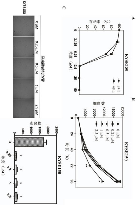 Application of tegaserod maleate in preparation of antitumor drug