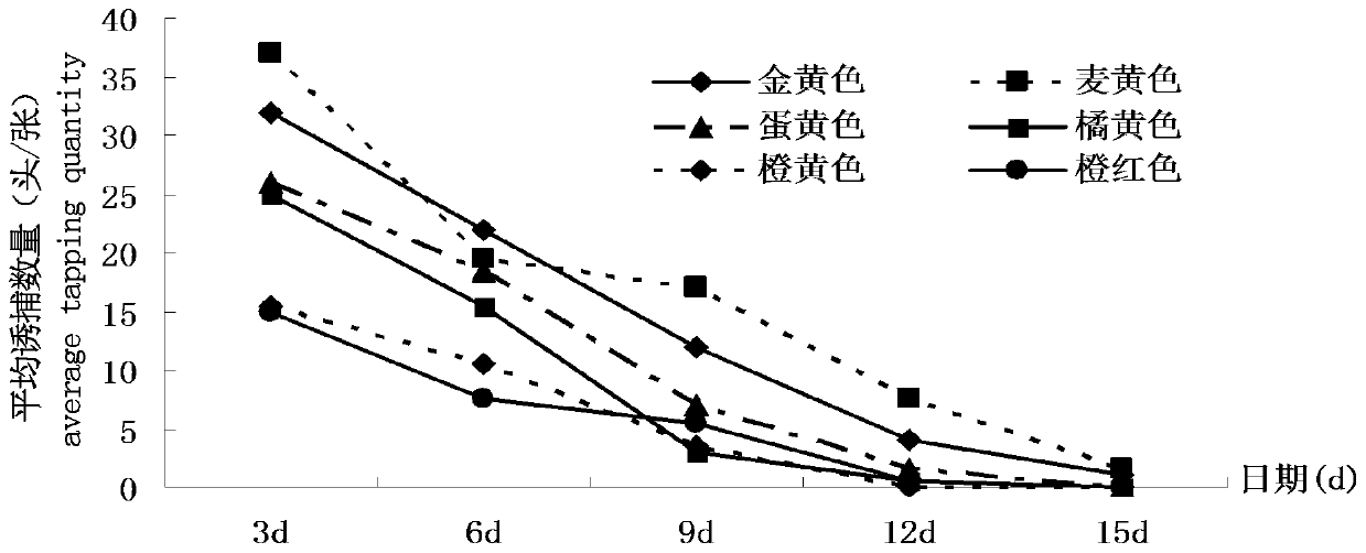 A kind of trapping method of jujube fruit fly adult