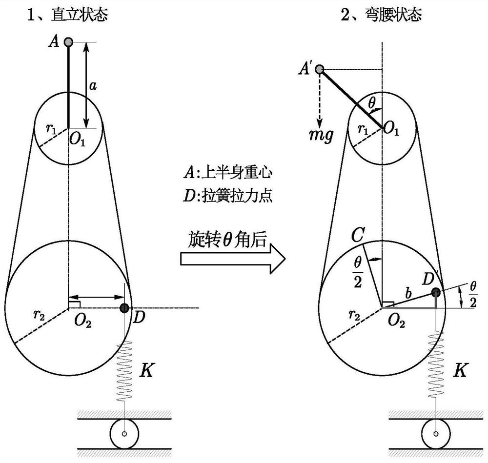 A humanoid robot waist joint and its realization method