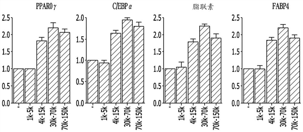 Peptide, composition, and method for stimulating adipogenesis