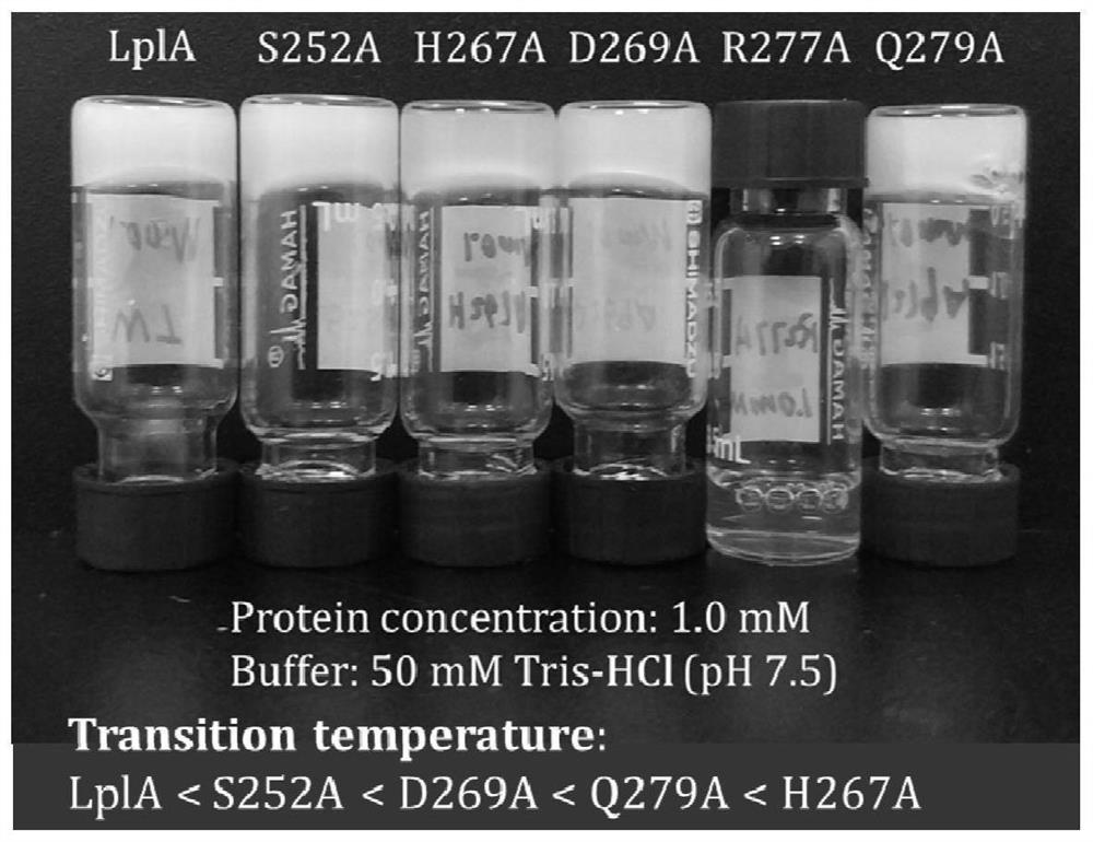 Intelligent hydrogel formed from single protein