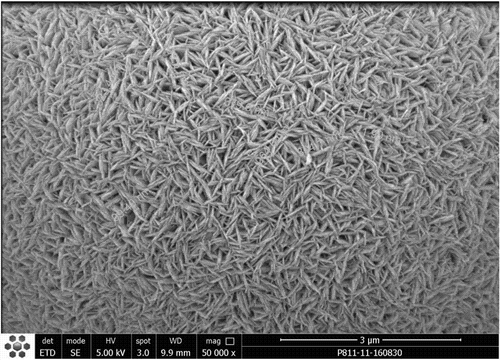 High-nickel type lithium Ni-Co manganate precursor with specific morphology and preparation method thereof