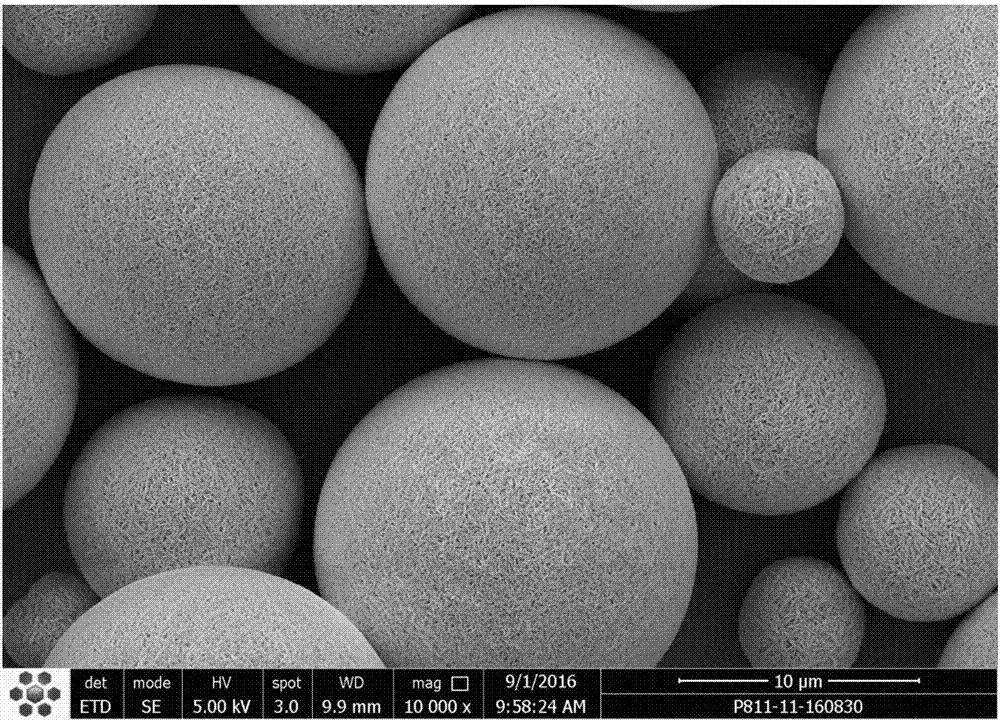 High-nickel type lithium Ni-Co manganate precursor with specific morphology and preparation method thereof