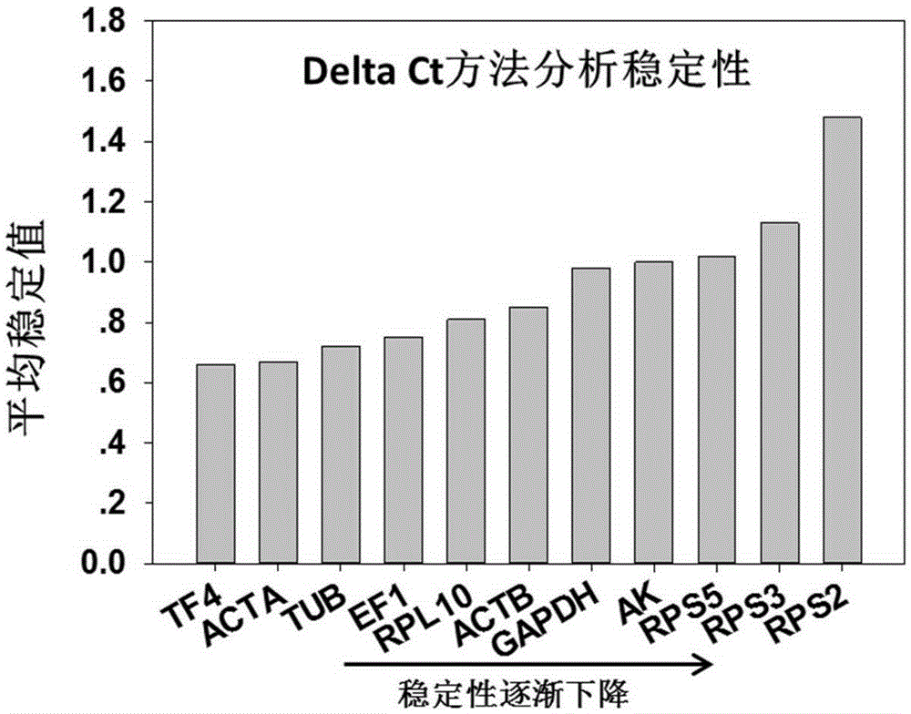 Screening method of chilo suppressalis reference genes under stress of chlorantraniliprole and application of chilo suppressalis reference genes