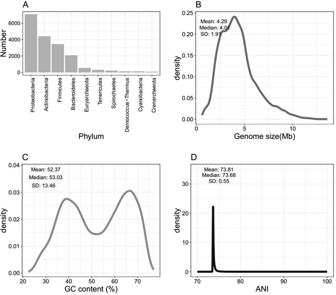 Bacterial identification and typing analysis genomic database and identification and typing analysis methods