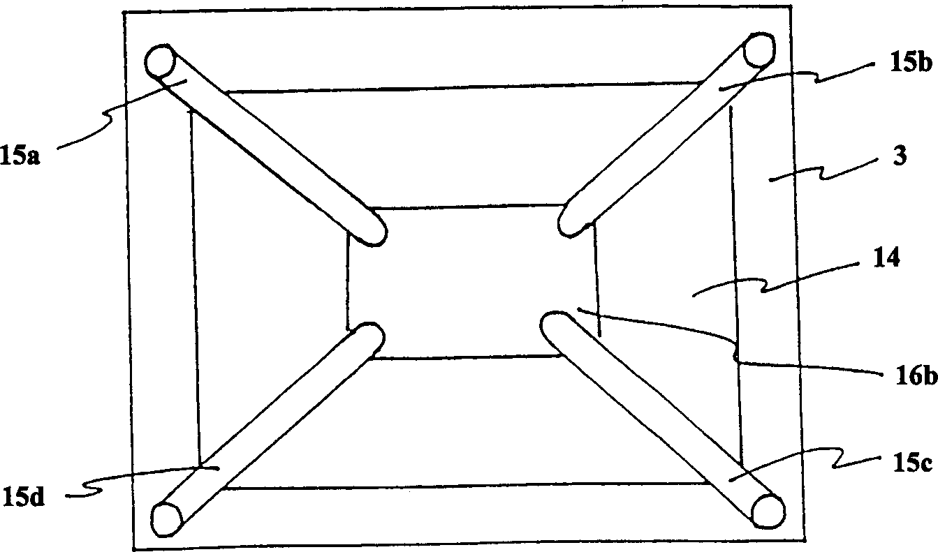 Portable electronic apparatus