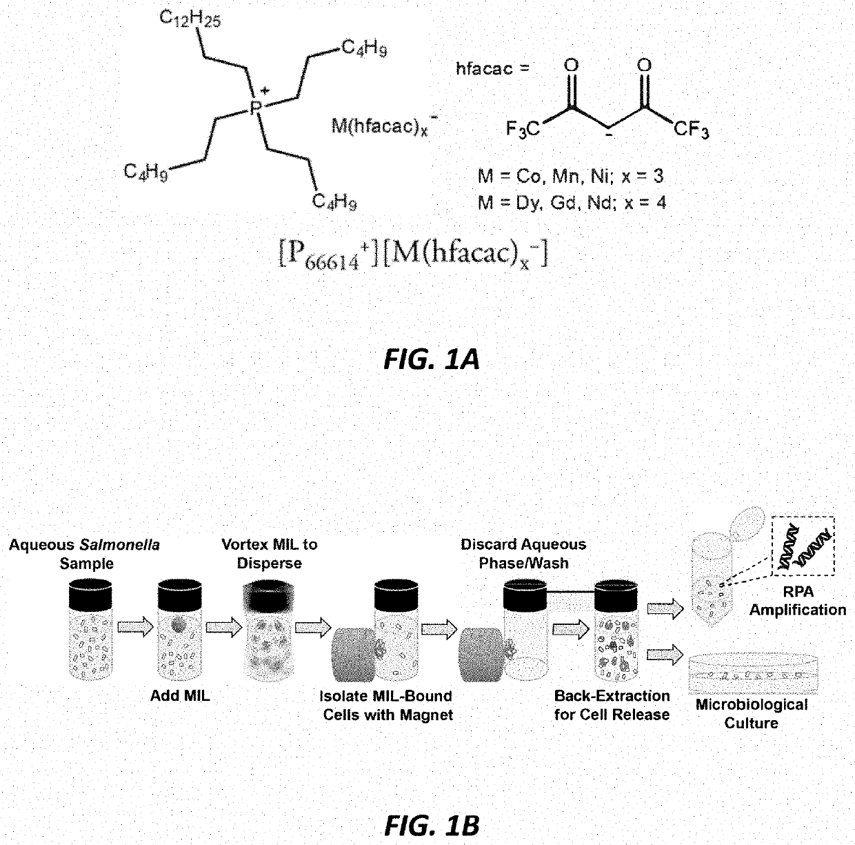 Capturing, concentrating, and detecting microbes in a sample using magnetic ionic liquids and recombinase polymerase amplification