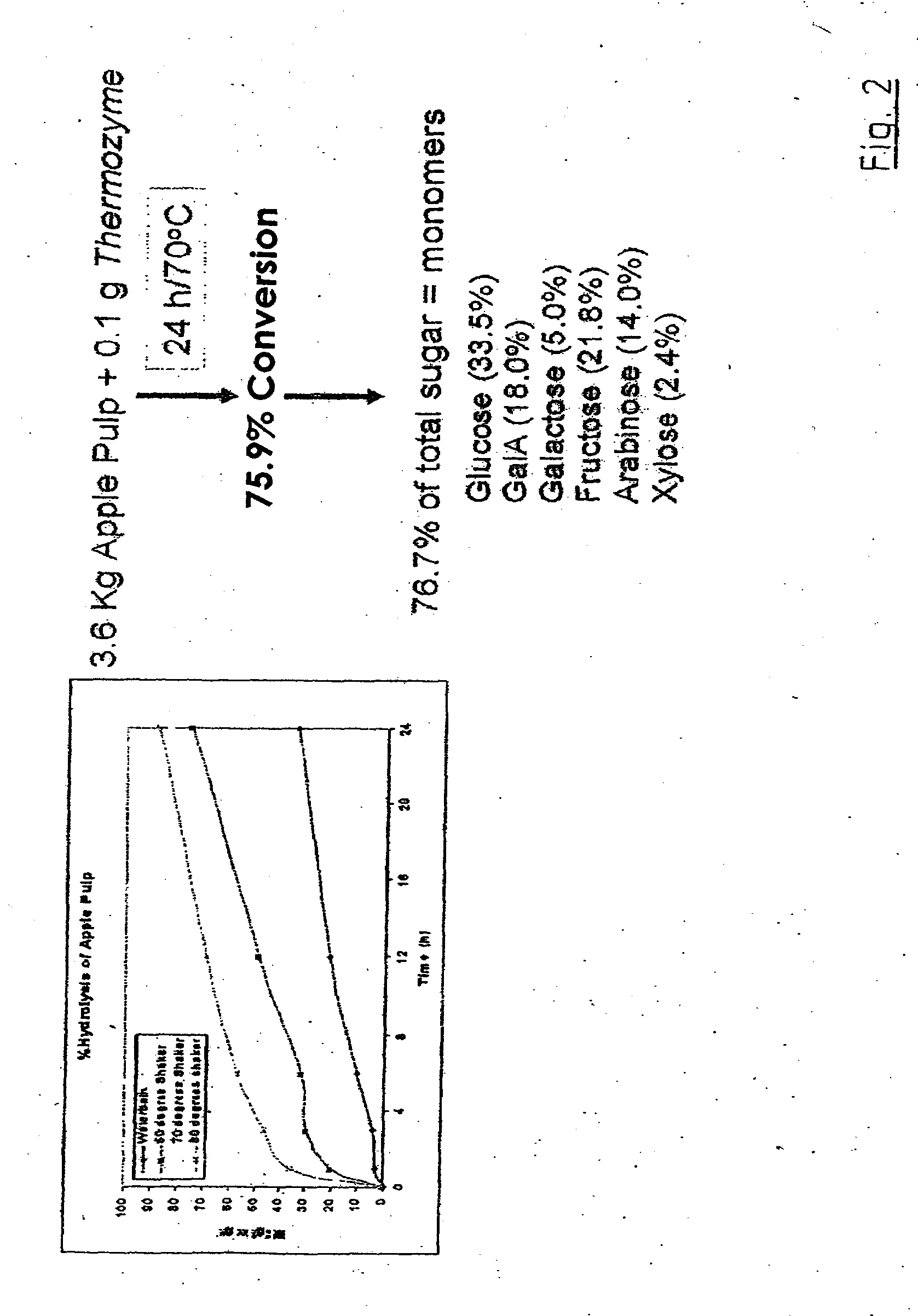 Talaromyces emersonii enzyme systems