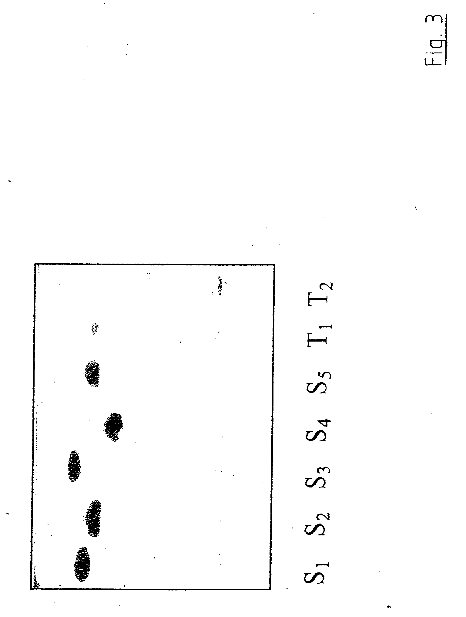 Talaromyces emersonii enzyme systems