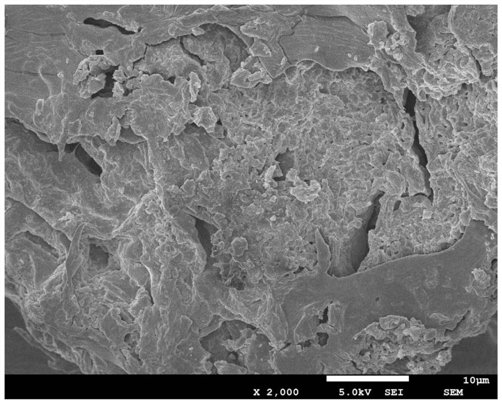 Green synthetic magnetic composite nanomaterial, preparation method and application thereof