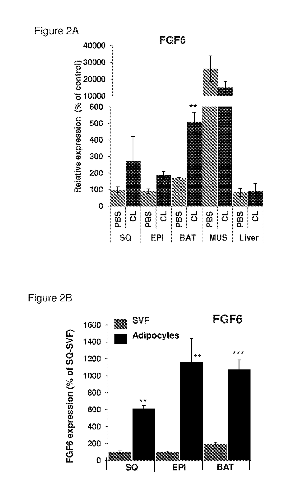 Methods and compositions for induction of ucp1 expression