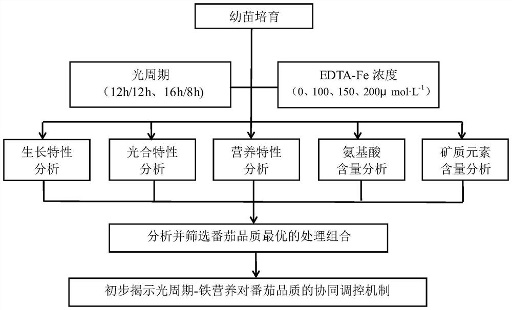 Planting method for improving growth and development and fruit quality of tomatoes