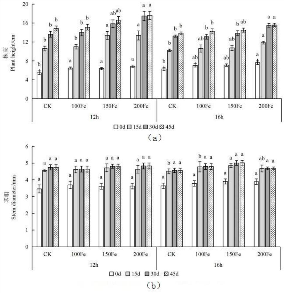 Planting method for improving growth and development and fruit quality of tomatoes