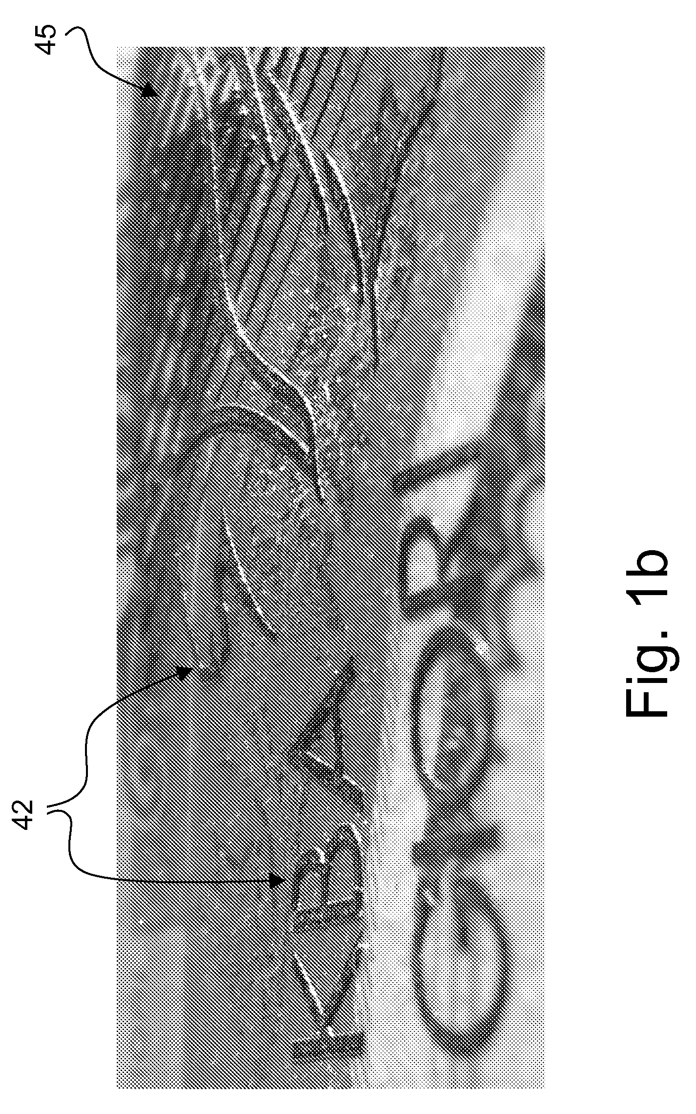 Authentication of security documents, in particular of banknotes