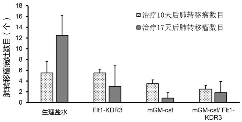 cationic liposome complex encapsulating plasmid dna