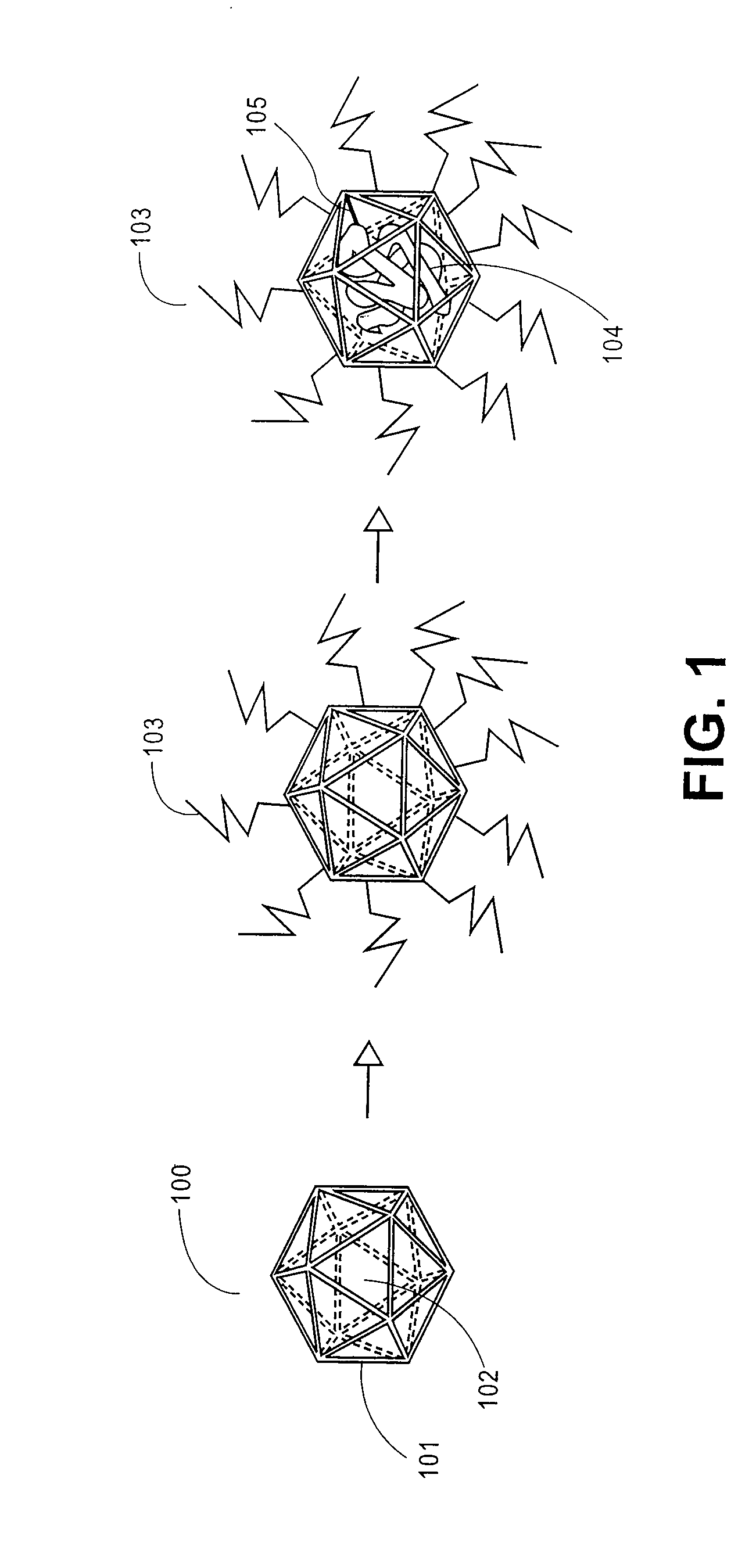 Protein cage immunotherapeutics