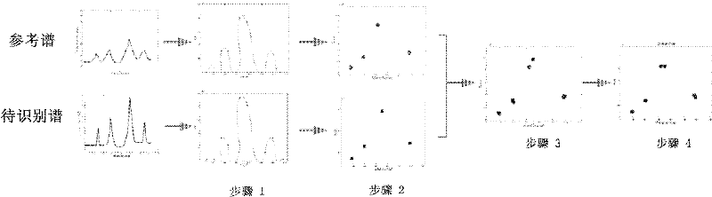 Gas radiation spectrum invariant characteristic extraction method suitable for temperature pressure change