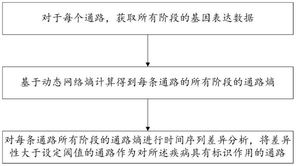 Biomarker identification method and system based on dynamic network entropy