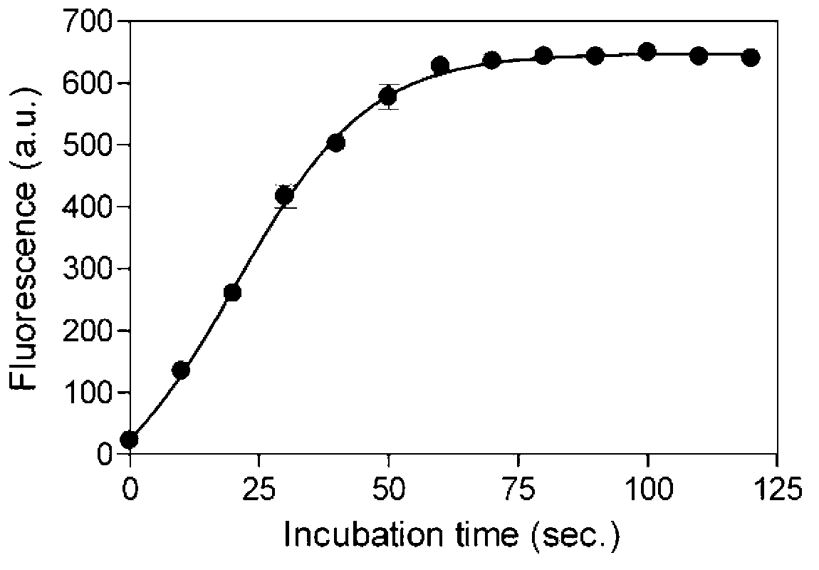 Bio-functionalized gold nano fluorescent probe and preparation method thereof