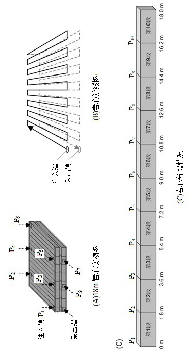 A Simulation Method for Evaluating the Deep Migration Characteristics of Polymer Microspheres in Porous Media